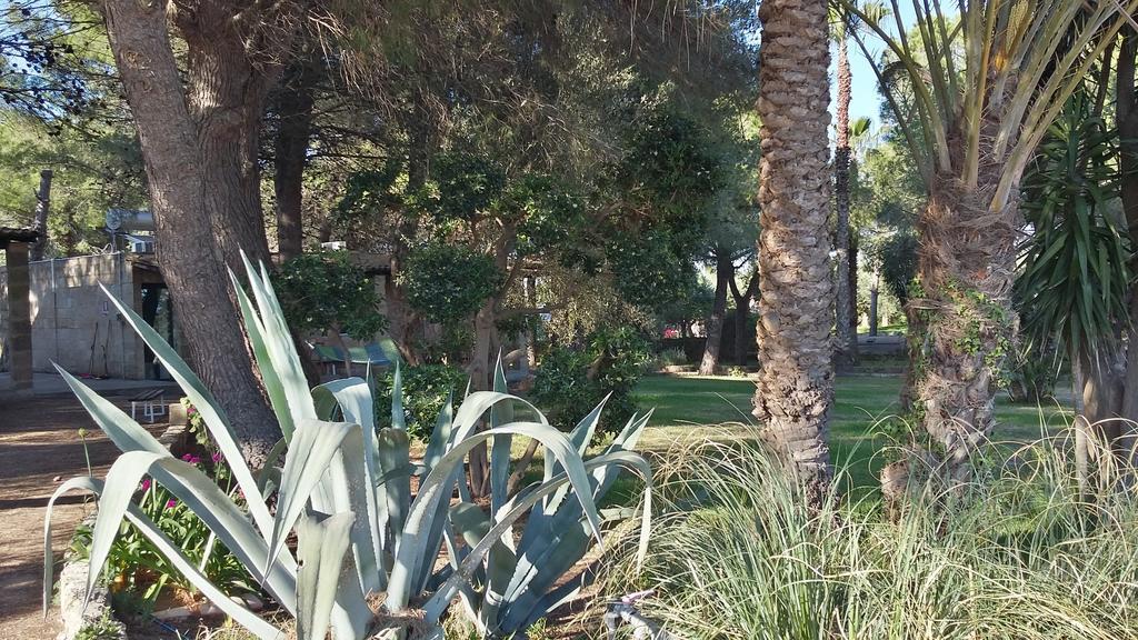 Tenuta Terenzano Torre San Giovanni Ugento Kültér fotó