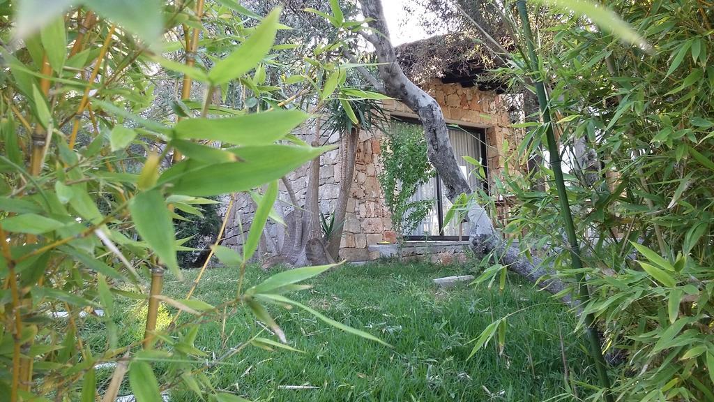 Tenuta Terenzano Torre San Giovanni Ugento Kültér fotó