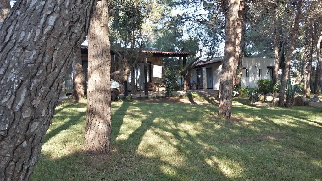 Tenuta Terenzano Torre San Giovanni Ugento Kültér fotó
